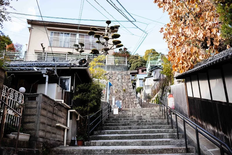 猫の細道