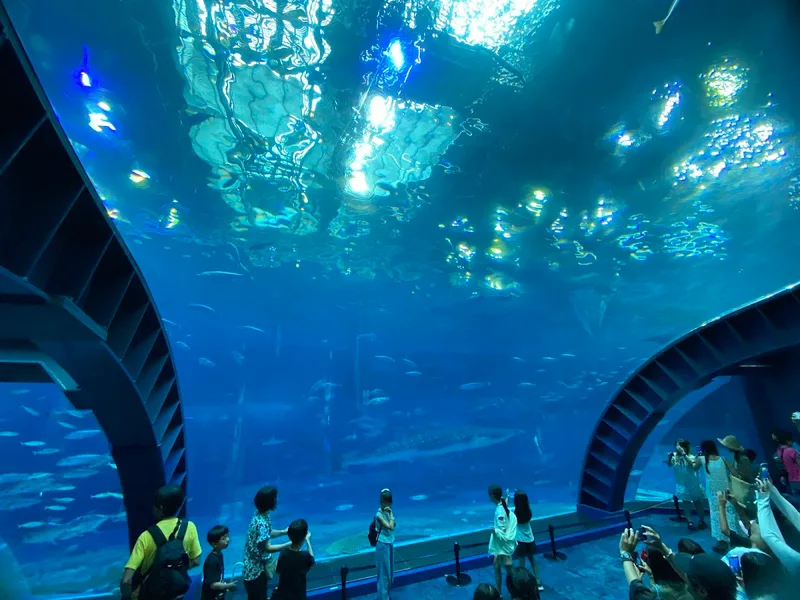 沖縄美ら海水族館