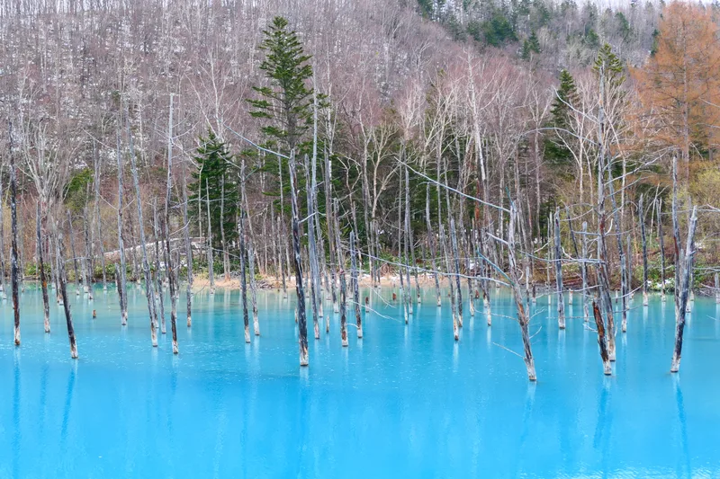 Aoi Pond